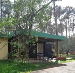 Image of Bungalow aux Villages Sous les Pins, à 10 Minutes des Plages