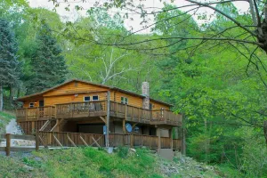 Image of Log Cabin and Treehouse