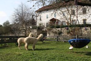 Image of Holiday apartment Camburg for 1 - 4 persons with 1 bedroom - Holiday house