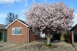 Image of Relaxing, Comfortable Bungalow a Short Walk From Wimborne Minster