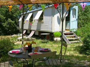 Image of Beautifully restored authentic circus wagon