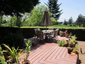 Image of Pet Friendly, Private Home With Garden-Like Yard- WINTER RATE SPECIALS!