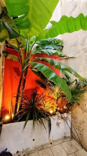 Image of Your Stopover - Jungle Sauna & Spa