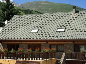 Image of 300m from shops, 1st floor, sauna, hammam, balcony, fireplace or stove, parking, ski locker, 55m²