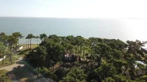 Image of Villa Ile de Re avec acces mer du jardin