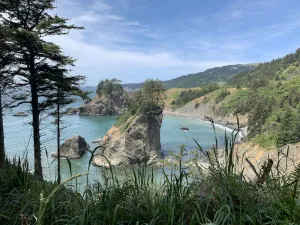 Image of Oregon Coast Glamping with Starlink High-Speed Internet
