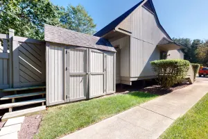 Image of Sea Colony - 4003 Volley