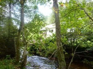 Image of Home away from home - with a creek in the forest but near to the city