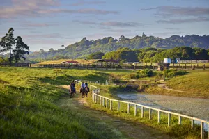 Image of Farm Stay! Fun activities for the whole family-35 minutes from Cairns CBD