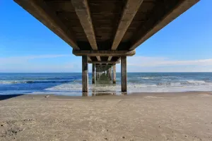 Image of Palm Cottage SS523A