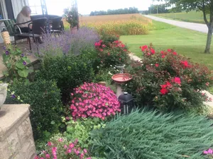 Image of Country Farm house