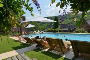 Image of Gïte the rooster on the farm with pool