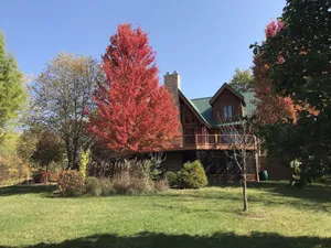 Image of Log cabin staycation for families! Beautiful country setting.