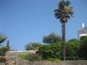Image of Apartment Belle Île