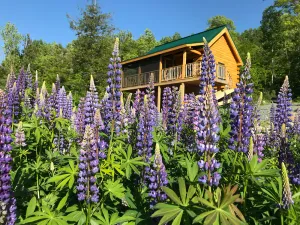 Image of Isolated Log Cabin with Panoramic Views of Cherry Pond and White Mountains