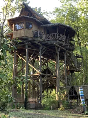 Image of Tropical Treehouse surrounded by Jungle Gardens