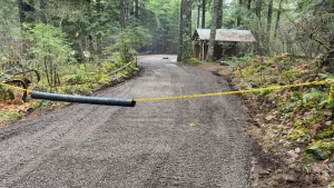 Image of Private RV parking at the base of Mt. Rainier.  Have the forest to yourself!