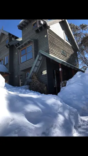 Image of Snow Brainer-dog friendly