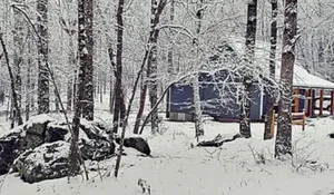 Image of 🌟Cozy Mountain Cottage w\/ Hot Tub & Porch Swing Bed🌟