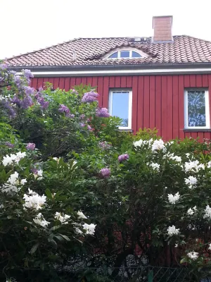 Image of Natural idyll on the edge of the forest - family-friendly and quiet