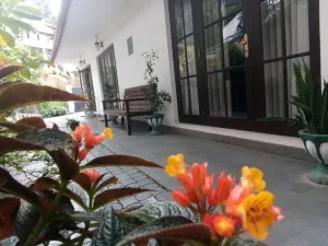 Image of Kandy Waters