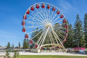 Image of Beautifully renovated studio apartment in Fremantle