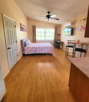 Image of Comfy studio in Sarasota