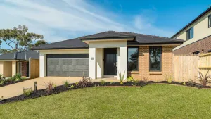 Image of Cosy on Currawong