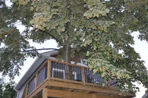 Image of New Loft w\/South River view from treehouse deck!