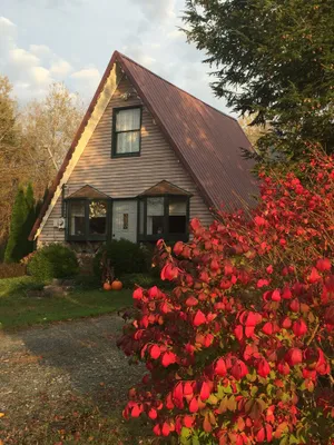 Image of A-framed Adirondack cottage near Great Sacandaga Lake