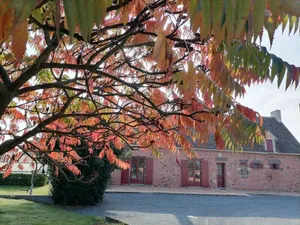 Image of Countryside Retreat: Farm Experience, Modern Comforts, 3 Bedrooms, BBQ, Fishing Pond