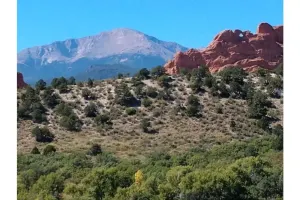 Image of Zen Garden at the Garden