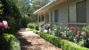 Image of Lucindale lovely cottage garden