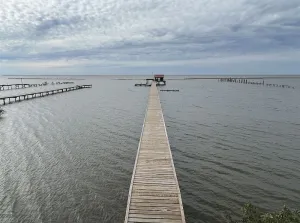 Image of Reel Cajun - Boat Access - Island Realty