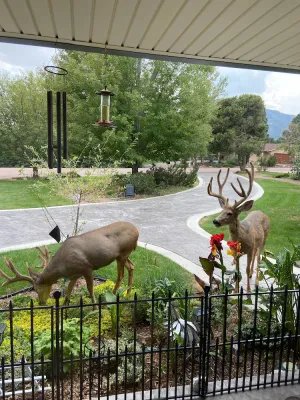 Image of Broadmoor-Pool Mountain Theater Rm 4 Bedroom 3 Bath STR-1573