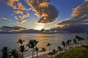 Image of Royal Kahana 104