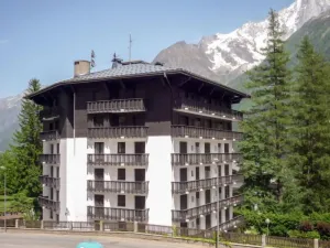 Image of Apartment Les Aiguilles du Brévent by Interhome