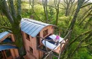Image of Cabane perchée \/ sauna & cold bath \/ shared natural swimming pool