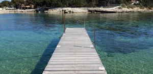 Image of In the heart of the creek tamaris