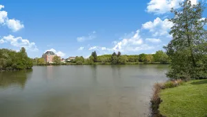 Image of LeRouget : Hypercentre / Jardin aménagé / Hamak