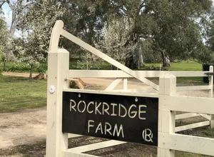 Image of Rockridge, apartment pet friendly semi rural farm stay Set amongst tall gums