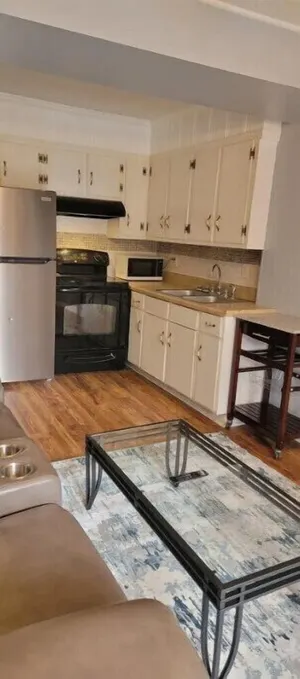Image of Travel Nurse Pet Friendly Short Term Housing Apt1
