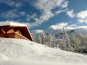 Image of Entire chalet with spectacular view -10 pers