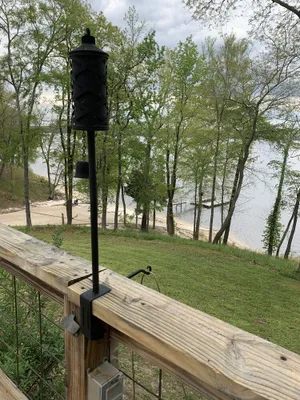 Image of Waterfront on Ky lake
