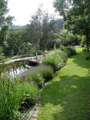 Image of Beautiful apartment with garden, fireplace and swimming pond - fantastic location
