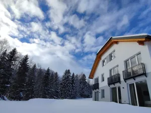 Image of Cozy holiday apartment in hut design, in the middle of the ski paradise