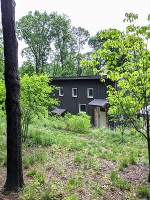 Image of Bright\/modern escape :: nestled in the forest, walk to the village & train