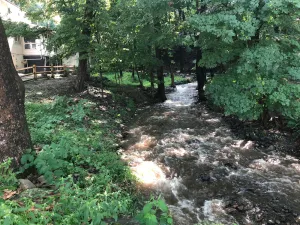 Image of Creekside Lodge on the Delaware River with a Seasonal Creek in the side yard