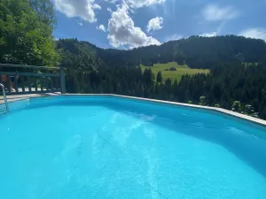 Image of Luxury Mountain Chalet in Unique Setting 15 minutes from Megeve