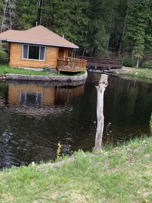 Image of Silver creek cabin